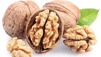 Walnut peptide