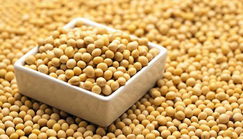 Plant protein soybean peptide