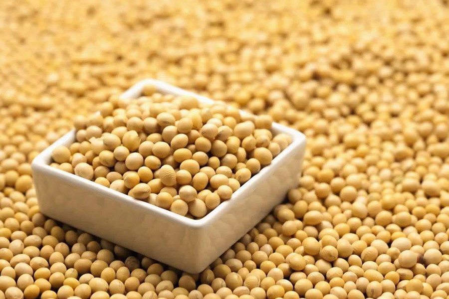 soybean peptide.jpg