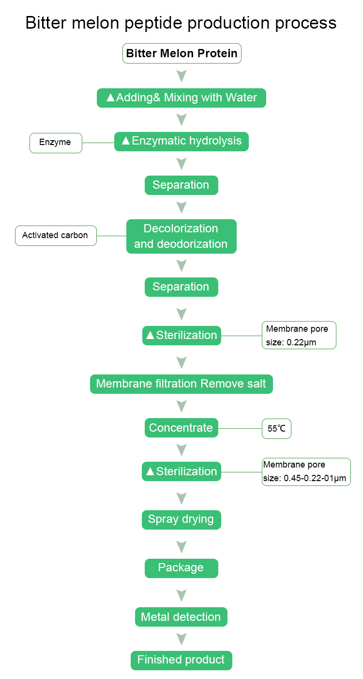 Bitter melon peptide production process.jpg